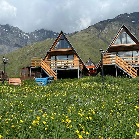 T&T Cottage Kazbegi Dış mekan fotoğraf
